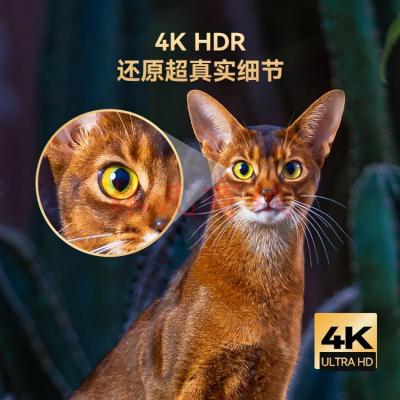 创维 酷开P31系列 50英寸4K高清HDR光学防蓝光免遥控声控 护眼全面屏 平板电视 50英寸声控智慧屏