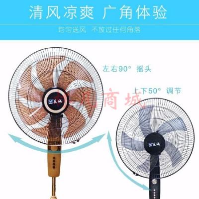 长城 （CHANGCHENG）落地扇家用电风扇宿舍机械立式遥控摇头强力电扇大 16寸-紫色
