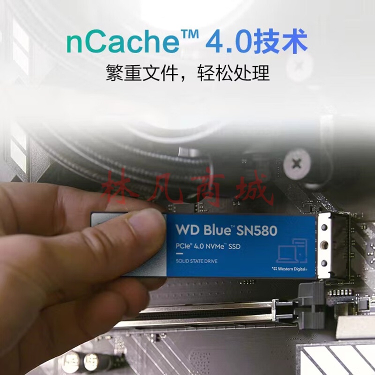 西部数据 固态硬盘 SN 570 500G M.2  nvme