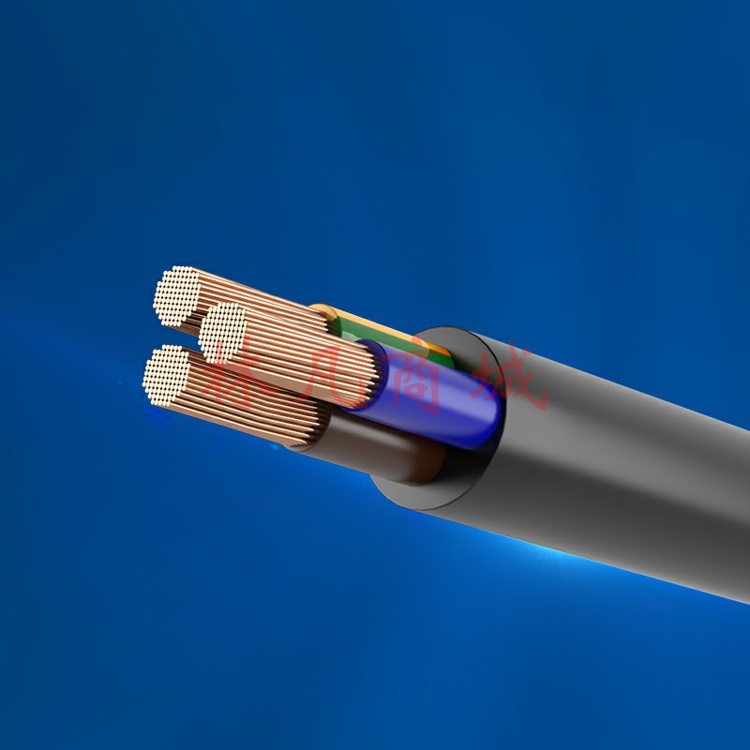 胜牌53RVV护套线3芯国标铜芯电源线 2.5平方 2芯100米黑色