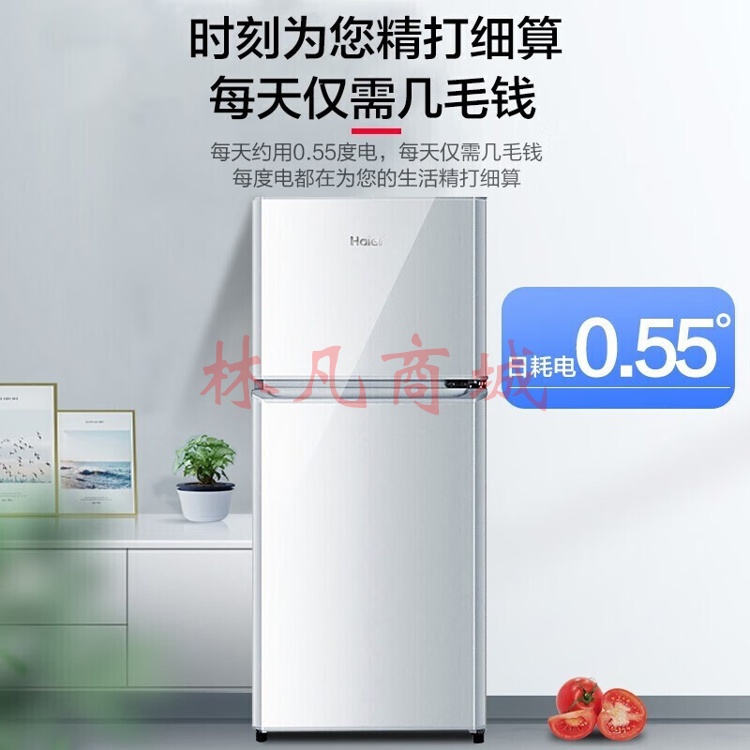 海尔（Haier）118升小型双门迷你冰箱 节能省电冷藏冷冻两门电冰箱 租房家用宿舍用小冰箱