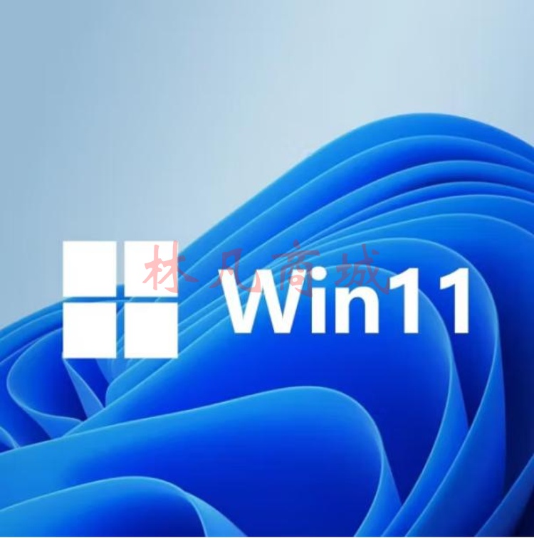 Windows11  系统