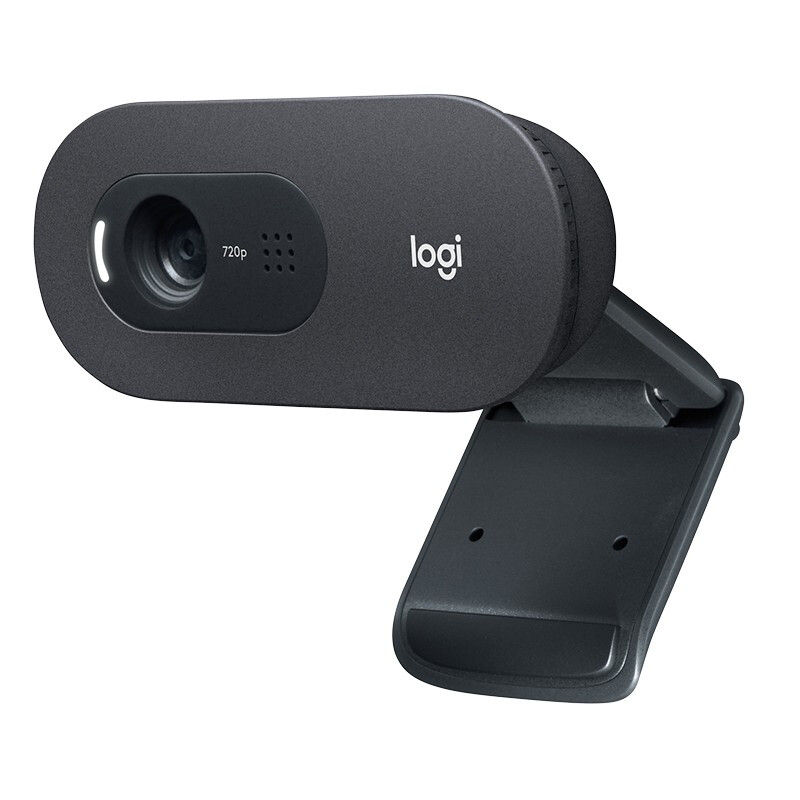 罗技（Logitech）C505e高清摄像头 家用摄像头 电脑摄像头 台式机摄像头 网课教学 网络课程会议摄像头